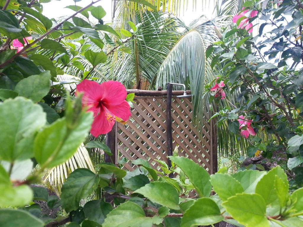 Zanboza Guesthouse La Digue  Extérieur photo